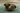 Assiette creuse Bonna Corail, porcelaine haut de gamme, 30 x 28 cm - (6 pièces)